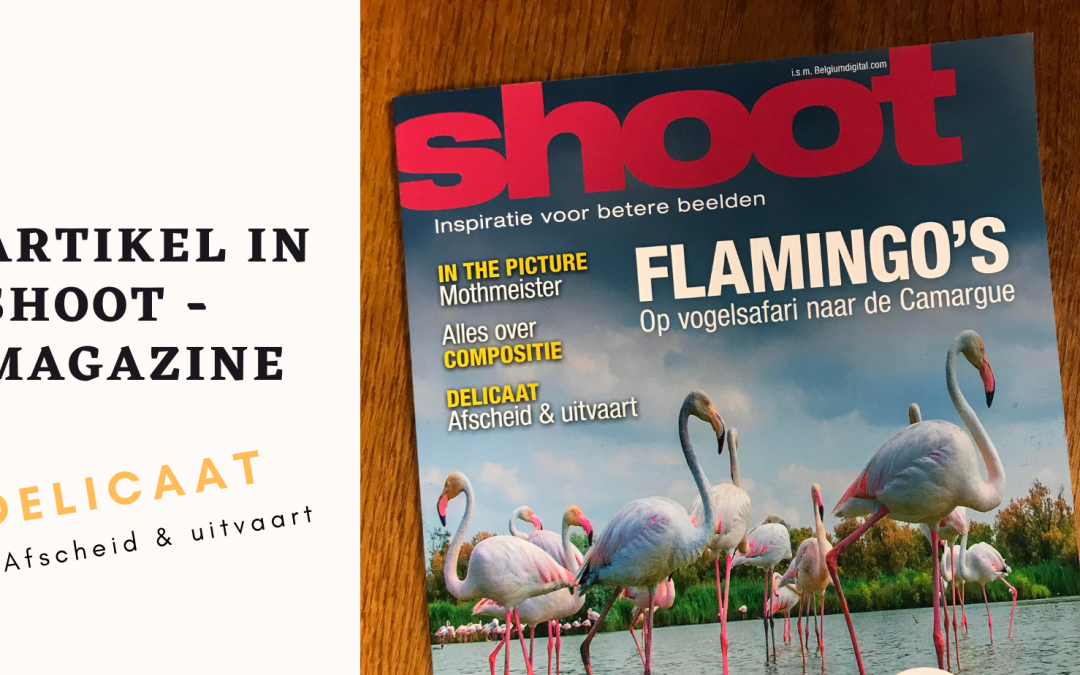 artikel in Shoot Magazine