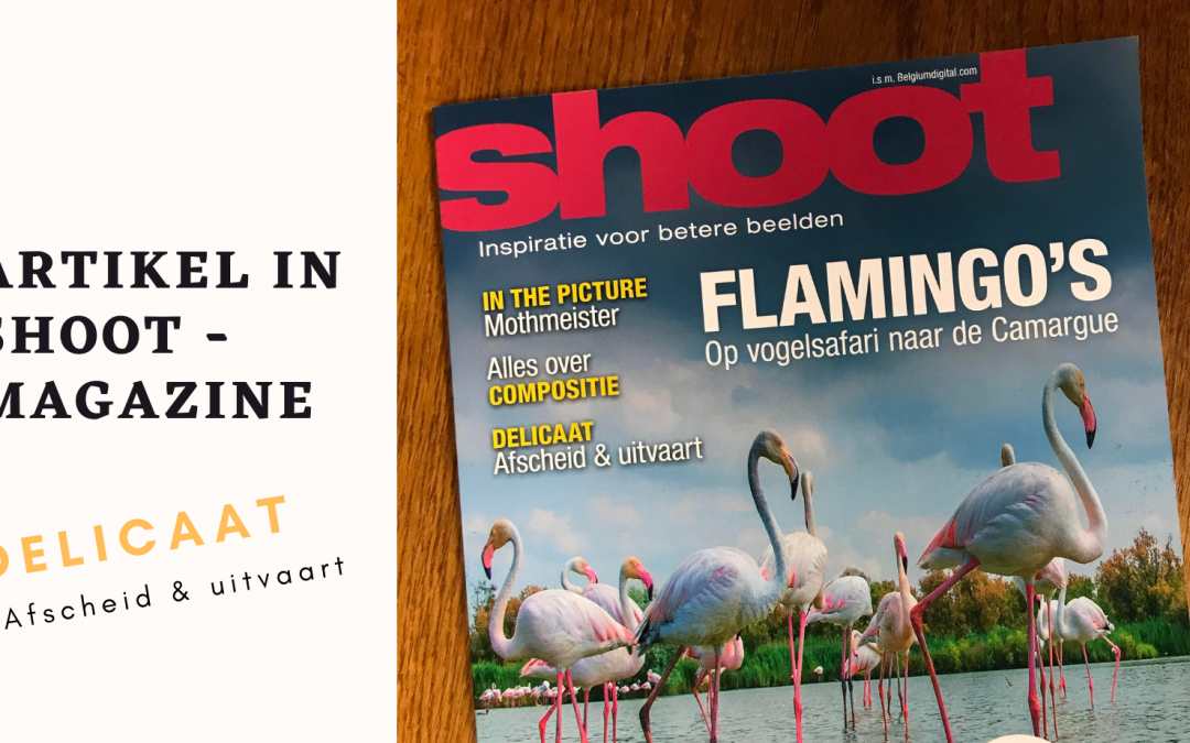 Artikel in Shoot magazine